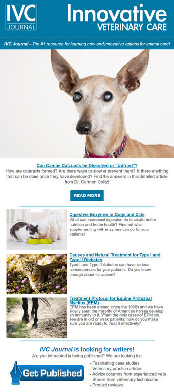 veterinary_medicine_newsletter